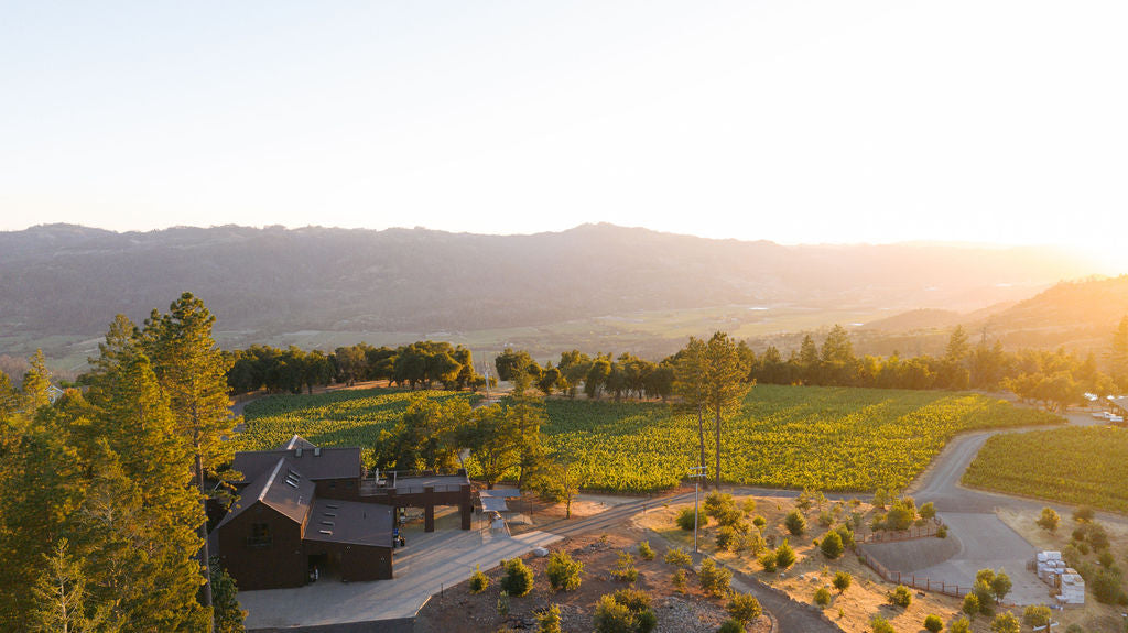 Aerial view of a farmhouse surrounded by green vineyards and trees at sunset, with rolling hills and a hazy sky in the background.