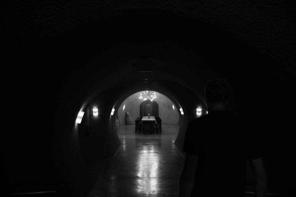 A person stands in a dark, arched hallway looking toward a well-lit room with a long table and chairs, illuminated by chandeliers. The scene has a mysterious, tunnel-like atmosphere.