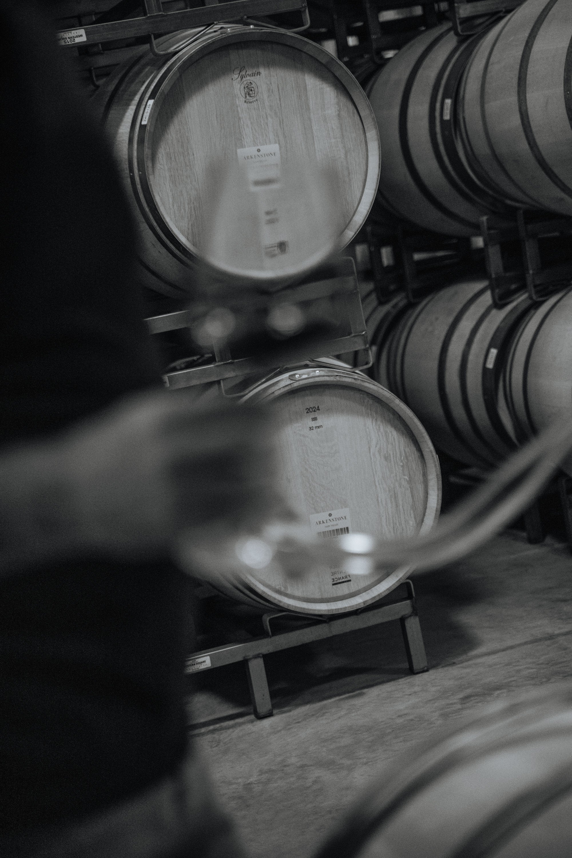 Black and white photo of stacked wooden wine barrels in a cellar, with a blurred foreground of a person holding a wine glass.