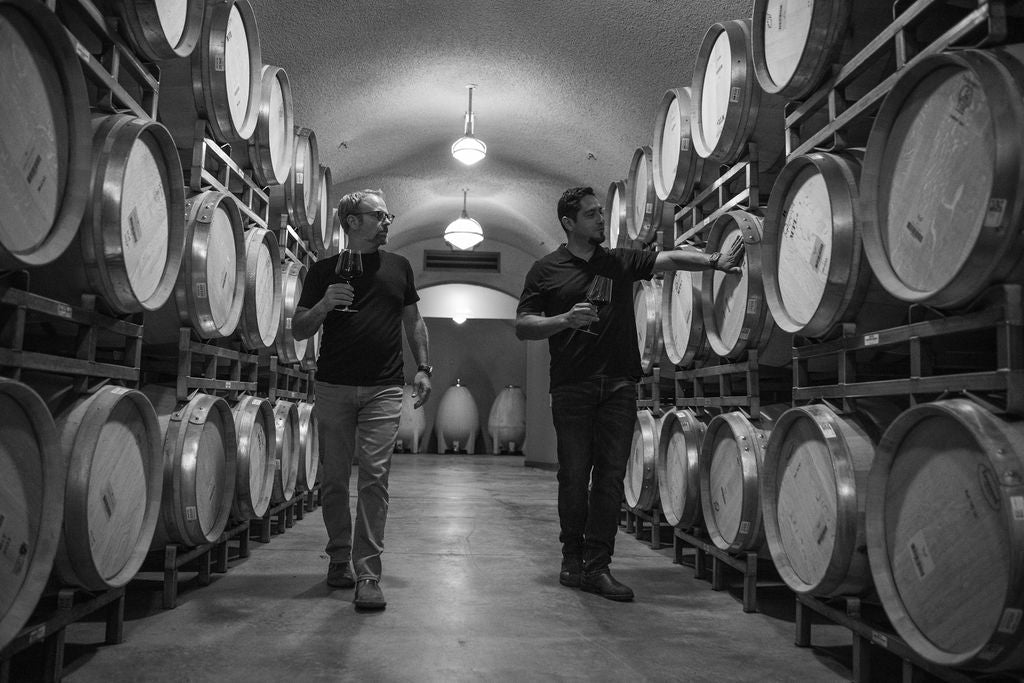 Two men walk between rows of stacked wine barrels in a cellar, each holding a glass and inspecting the barrels. The setting is dimly lit with overhead lights and has a calm, focused atmosphere.