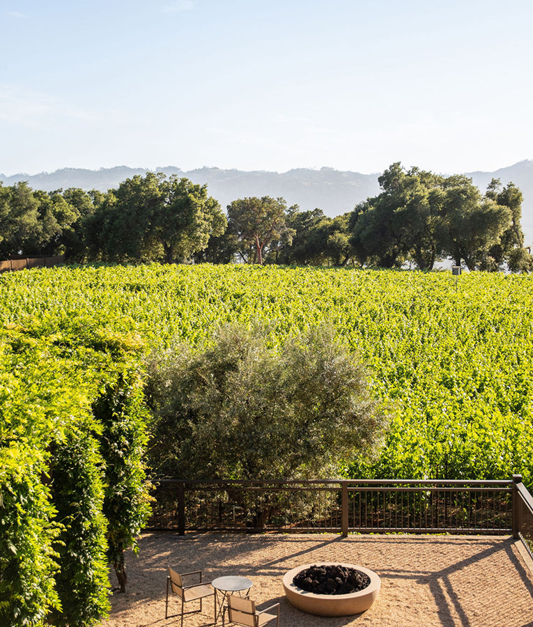 A scenic vineyard stretches out under a clear sky, with rows of green grapevines, lush trees in the background, and a small patio with chairs and a fire pit in the foreground.